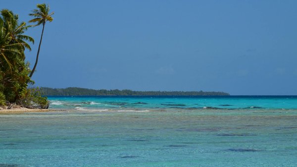 Où pratiquer le snorkeling au milieu des raies manta à Hawaii ?